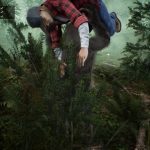 بازی Bigfoot Life