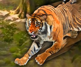 Survivalizm The Animal Simulator