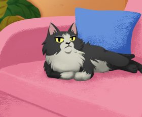 Roll the Cat