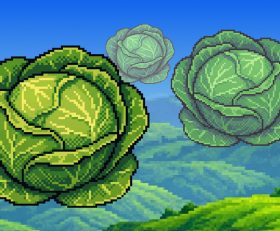 Super Cabbage Kabumi