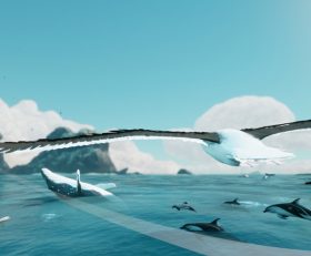 Toroa Skycall