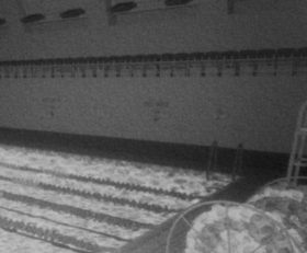 8AM The Swimming Pool
