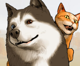 Animal Shelter 2