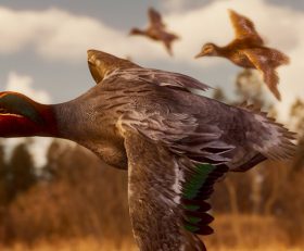 BULT Hunting Simulator