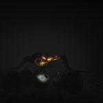 بازی Die In The Dark