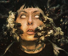 Heart of the Forest