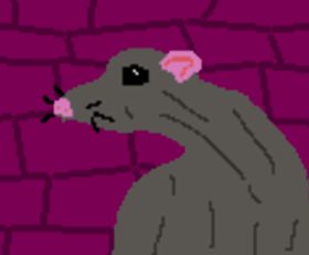 Rat Quest