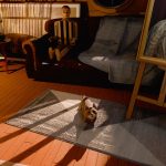 بازی The 18th Attic Paranormal Anomaly Hunting Game