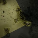 دانلود بازی Darkwood برای اندروید
