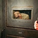 بازی Lobotomy