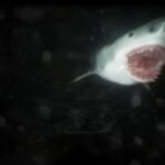 بازی Scary Cave Diving