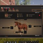 بازی Rancher A new life