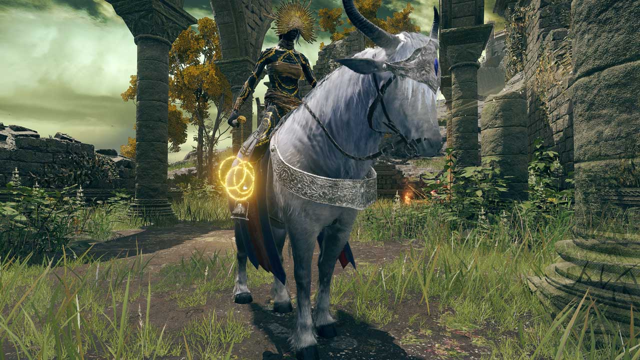 Elden Ring Tranished Pack