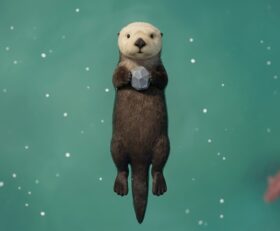Otterly Lost