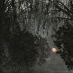 دانلود بازی Scratches – Director’s Cut برای اندروید