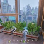بازی Tiny Eden