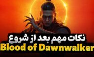 نکات مناسب تازه کارها در بازی The Blood of Dawnwalker