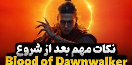 نکات مناسب تازه کارها در بازی The Blood of Dawnwalker