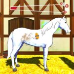 بازی Bibi and Tina Adventures with Horses