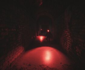 Light The Way