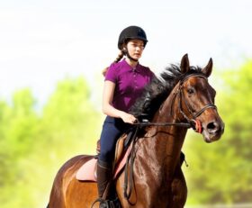 My Little Riding Champion