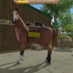 بازی My Little Riding Champion